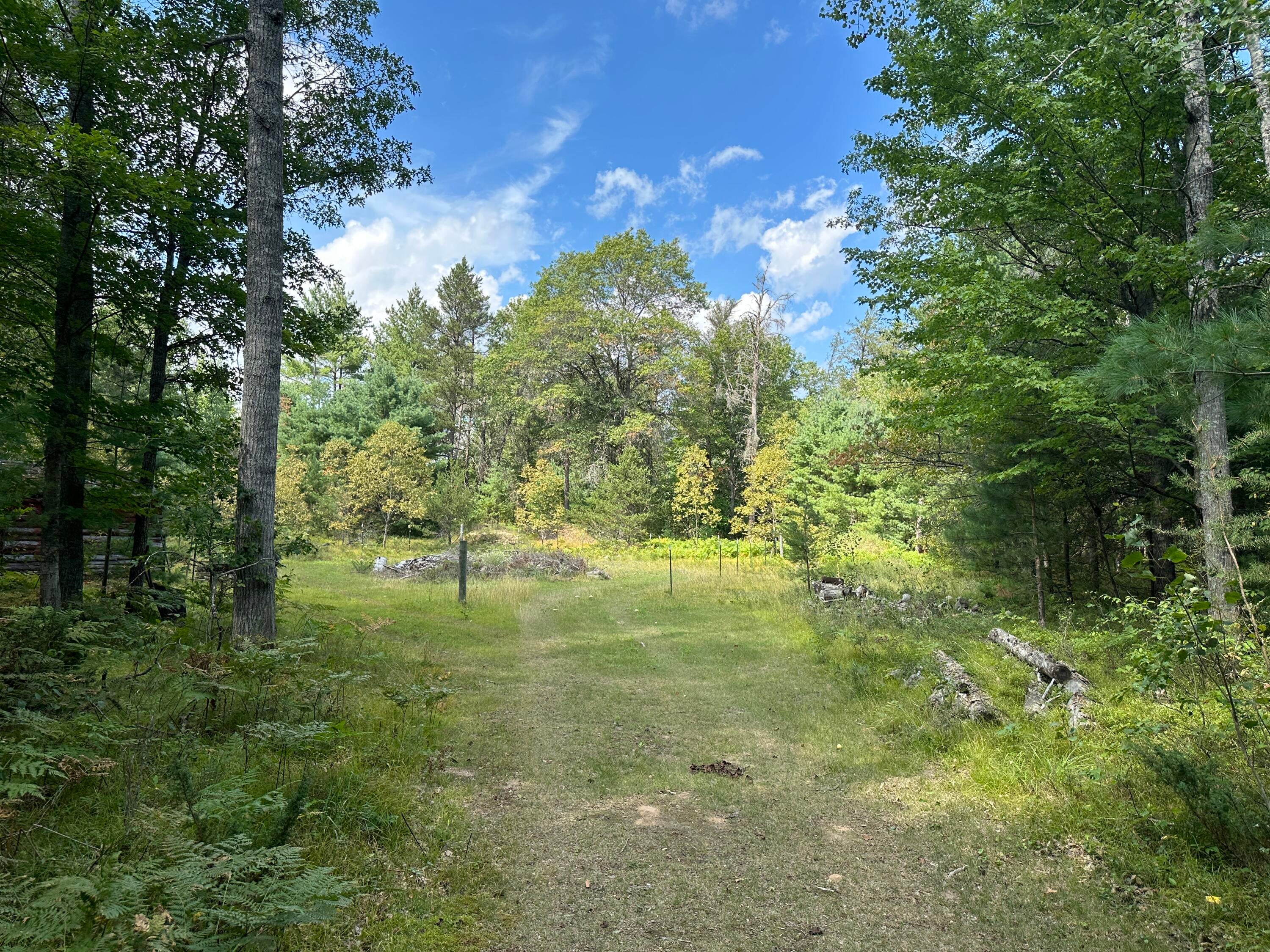 10353 South Grayling Road Roscommon, MI 48653 - Photo 49 of 54 Gallery Image 49