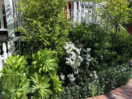 $4,500,000 | 928-930 Scott Street, Palo Alto, CA 94301
