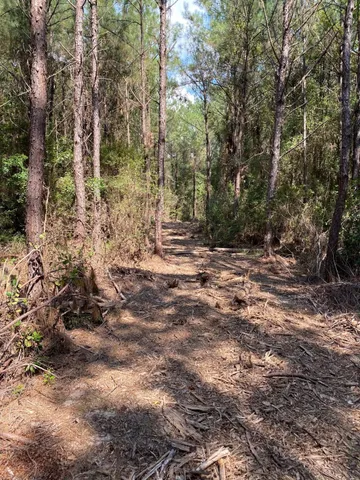 a view of outdoor space and garden