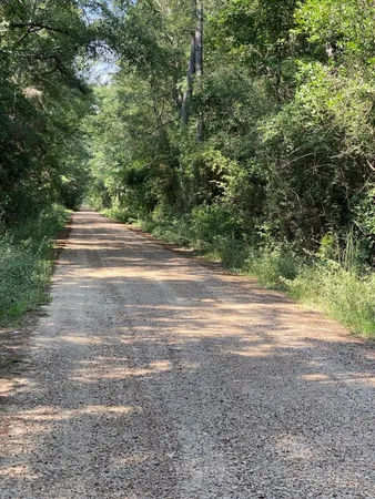 $599,000 | 19853 Ghost Road, Saratoga, TX 77585