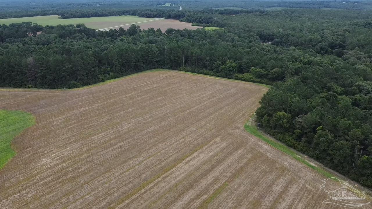 7600 Bratt Road Century, FL 32535 - Photo 40 of 41