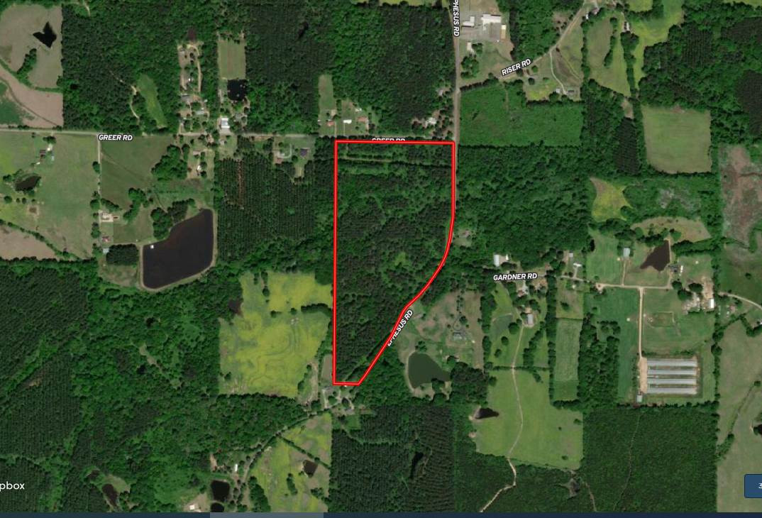 Ephesus Road Forest, MS 39074 - Photo 1 of 1 Photo 1