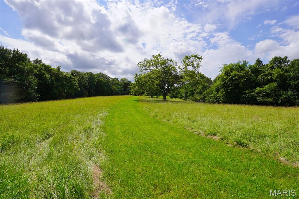 1971 Epple Road Hermann, MO 65041 - Photo 43 of 98