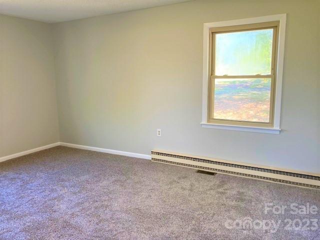 136 Lavender Road Ellenboro, NC 28040 - Photo 30 of 48 Gallery Image 30