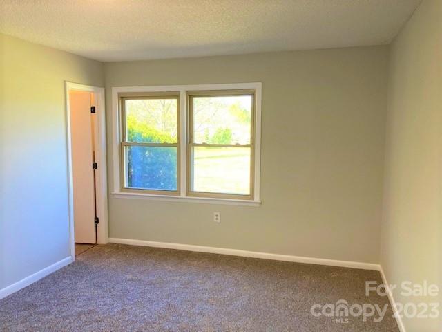136 Lavender Road Ellenboro, NC 28040 - Photo 32 of 48 Gallery Image 32
