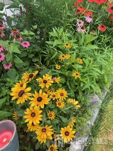 5 Locust Street Netcong, NJ 07857 - Photo 30 of 34