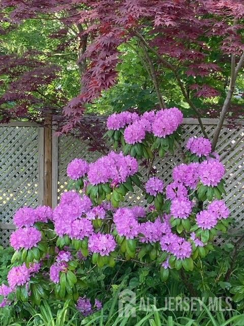 5 Locust Street Netcong, NJ 07857 - Photo 34 of 34 a view of a flower arrangement in a garden