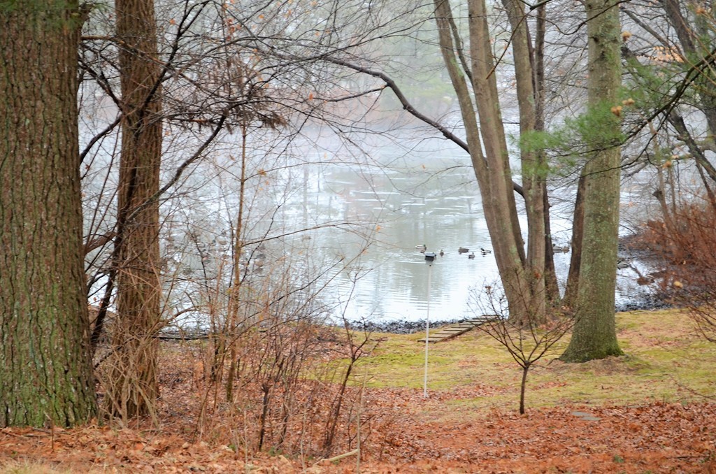 38 Johnson Street Raynham, MA 02767 - Photo 29 of 29 Gallery Image 29
