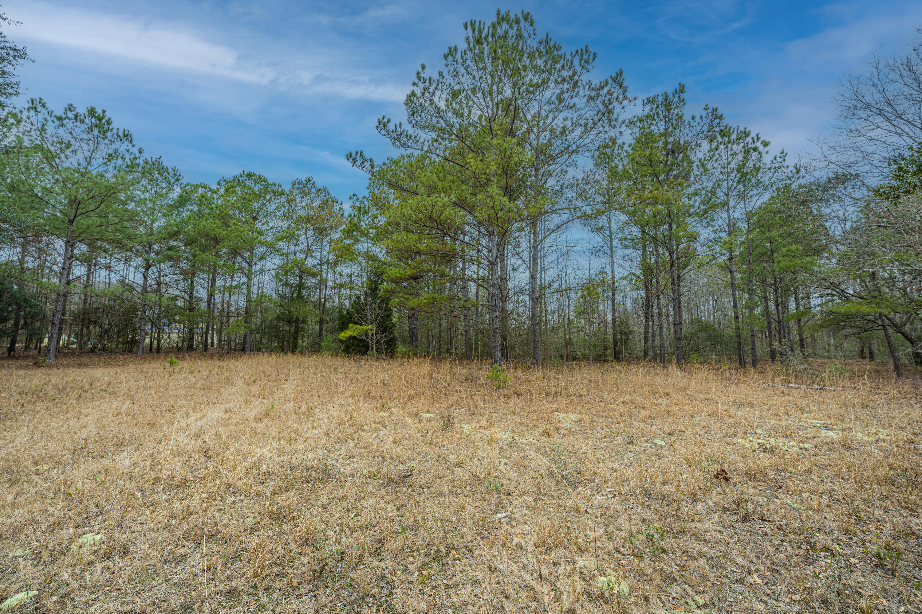 5553 Elliott Estates Road Hollywood, SC 29449 - Photo 13 of 18 5553ElliottEstatesRd014