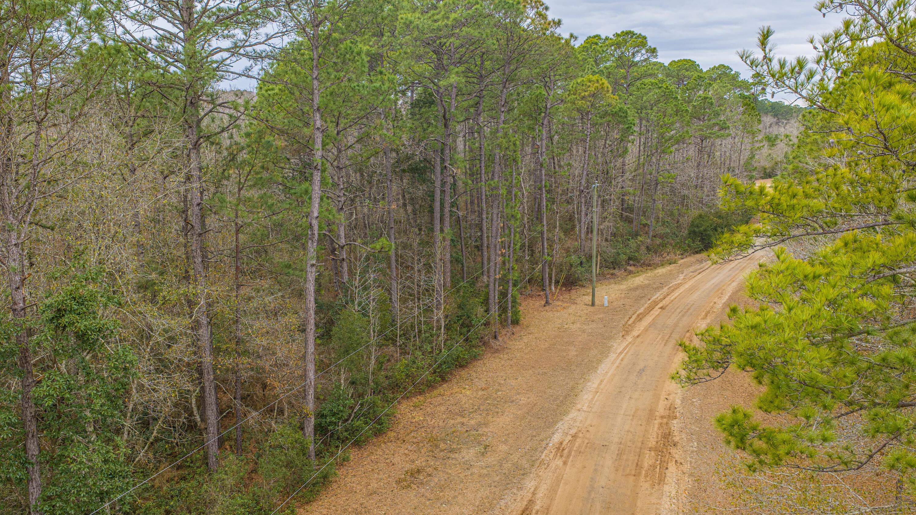 5553 Elliott Estates Road Hollywood, SC 29449 - Photo 14 of 18 5553ElliottEstatesRd025