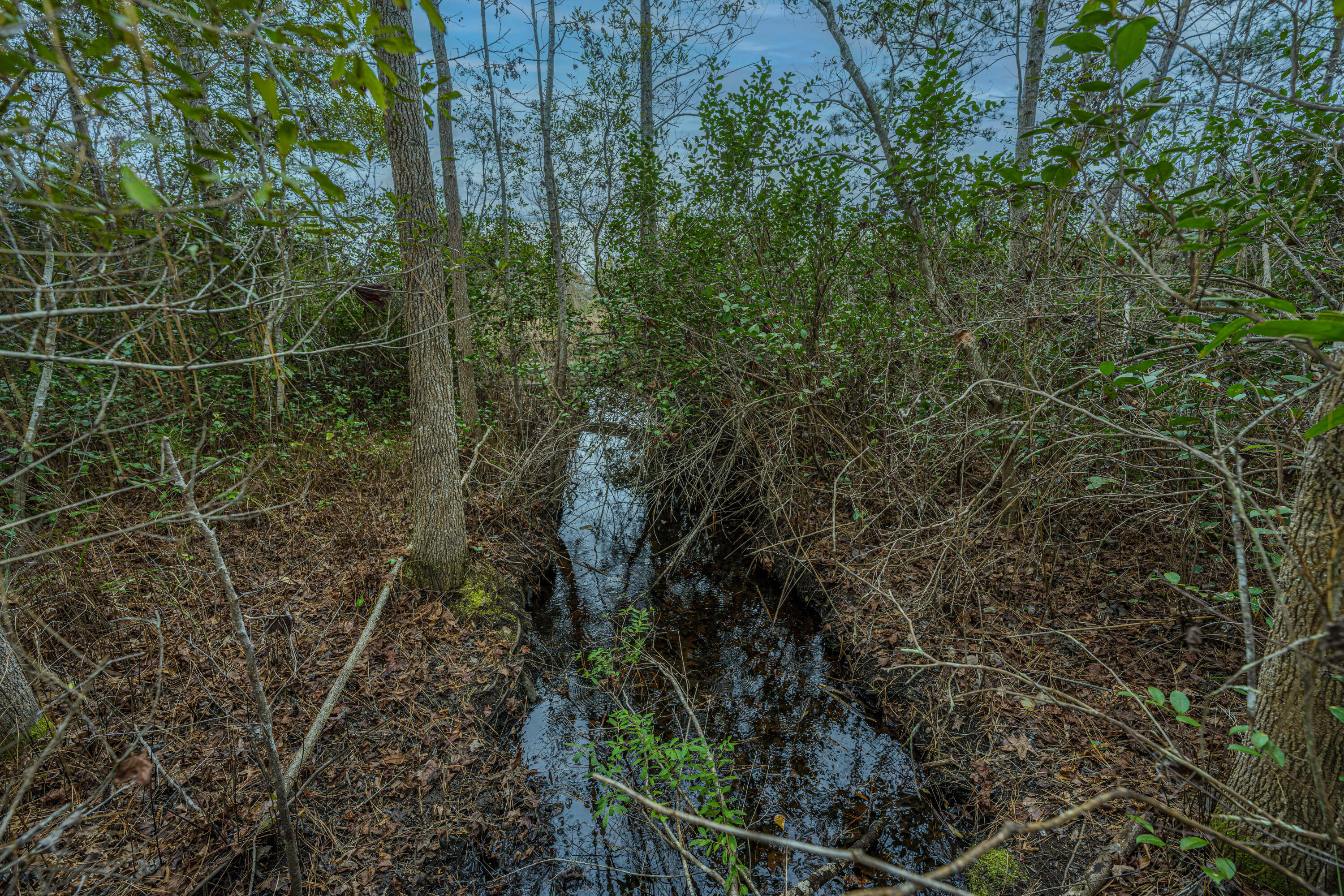 5553 Elliott Estates Road Hollywood, SC 29449 - Photo 8 of 18 5553ElliottEstatesRd007