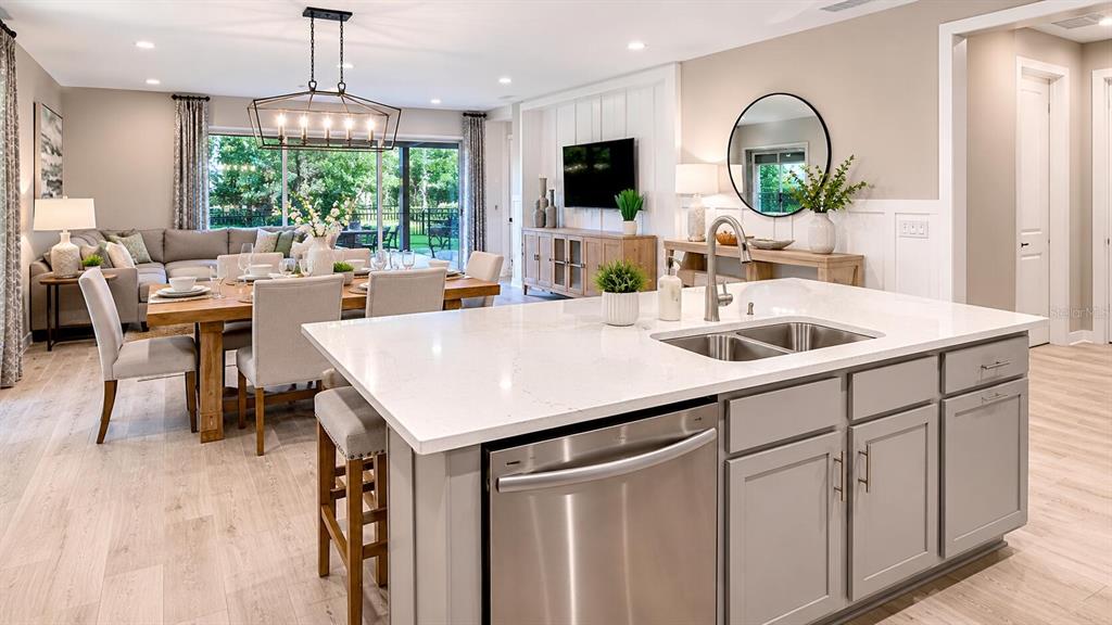 33320 Castaway Loop Wesley Chapel, FL 33543 - Photo 5 of 23 a kitchen with a sink and living room