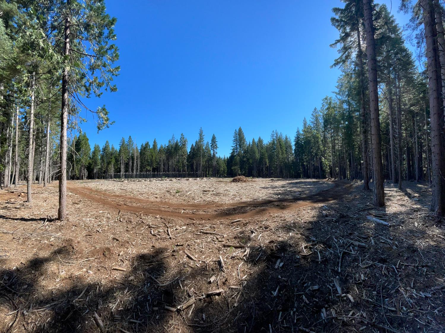 15379 Robbins Ranch Road Nevada City, CA 95959 - Photo 3 of 12 Gallery Image 3