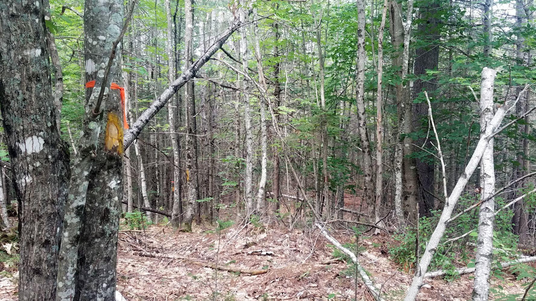 M12-l9-17 Mountain View Road Anson, ME 04911 - Photo 2 of 3 20200806_105411
