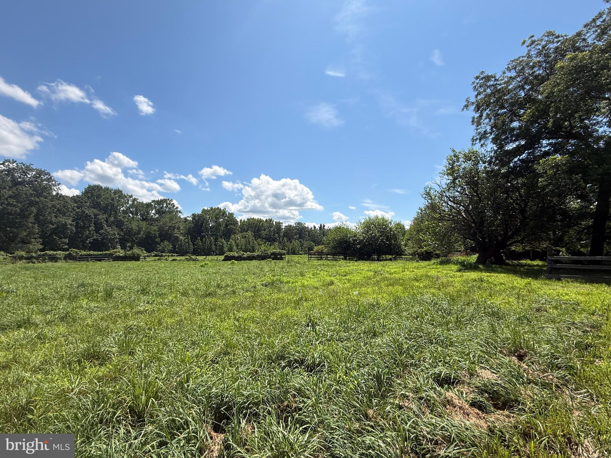 160 Lawrence Corner Road Elmer, NJ 08318 - Photo 53 of 58 Grounds