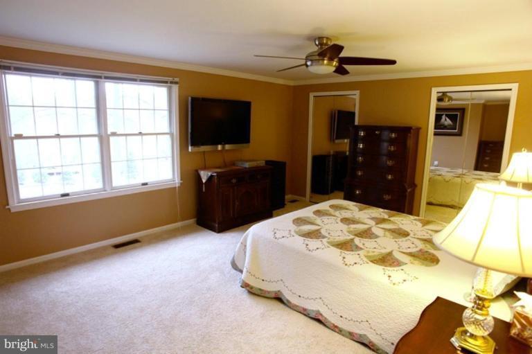 24408 Hanson Road Gaithersburg, MD 20882 - Photo 14 of 30 Owner's suite has new carpeting and ceiling fan.