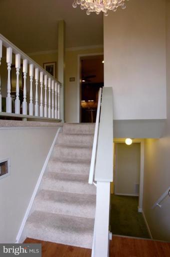 24408 Hanson Road Gaithersburg, MD 20882 - Photo 3 of 30 Foyer stairs lead to the living room and hall.
