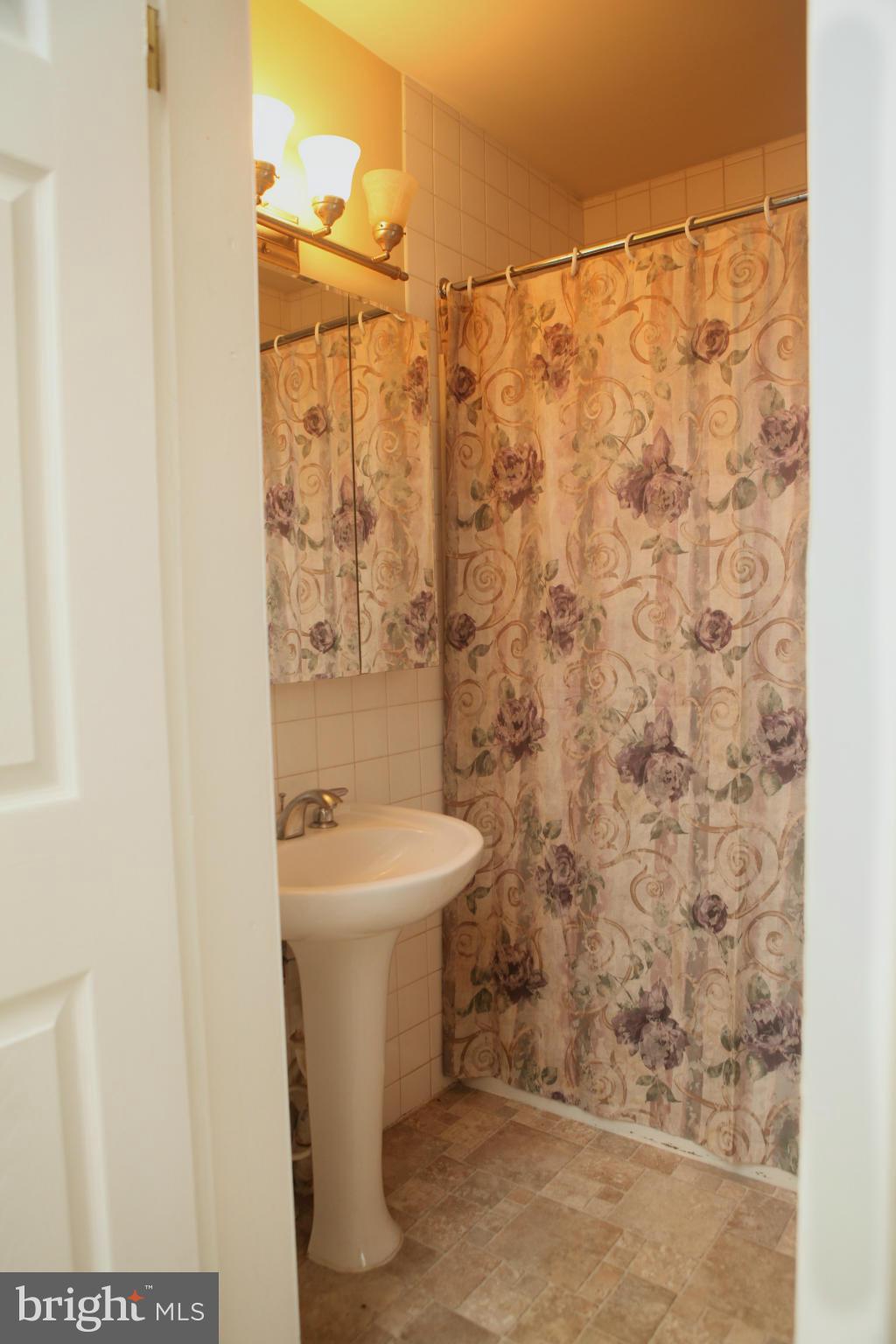 537 Ridge Avenue Hagerstown, MD 21740 - Photo 14 of 26 Main Level Master Bath