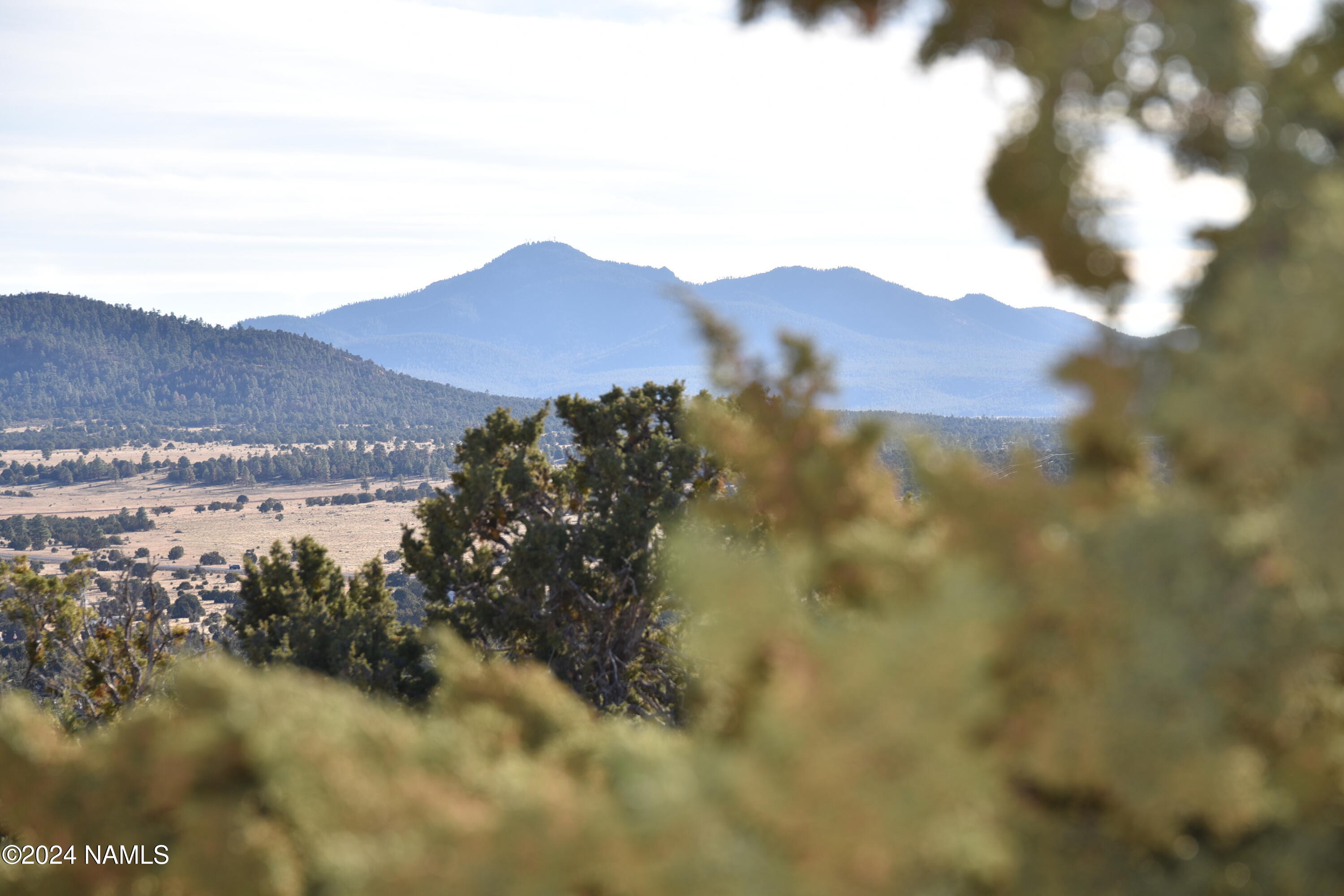 1582 East Sagebrush Road Williams, AZ 86046 - Photo 7 of 22 DSC_3828