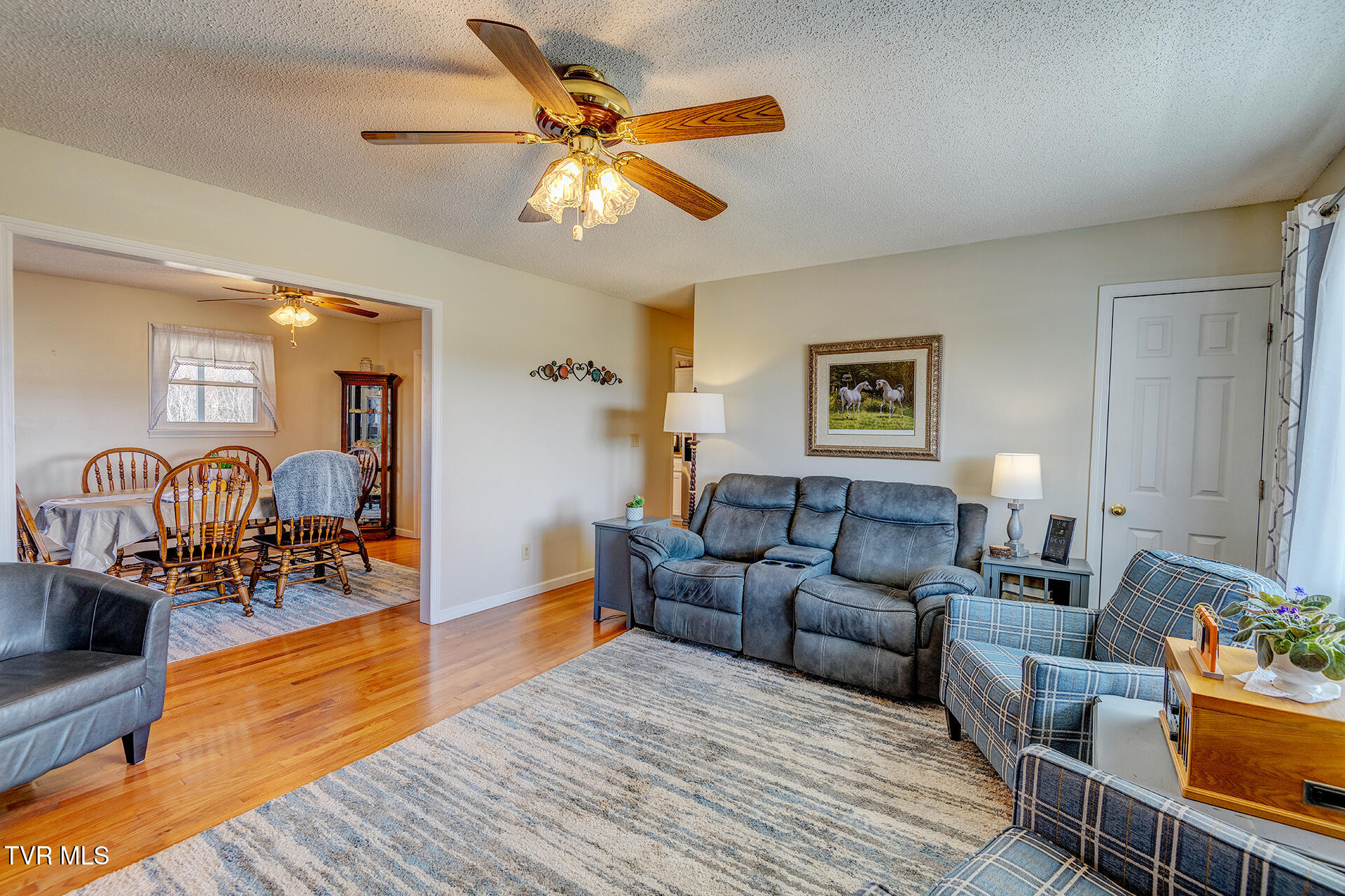 4120 West Allens Bridge Road Greeneville, TN 37743 - Photo 31 of 47 Living Room