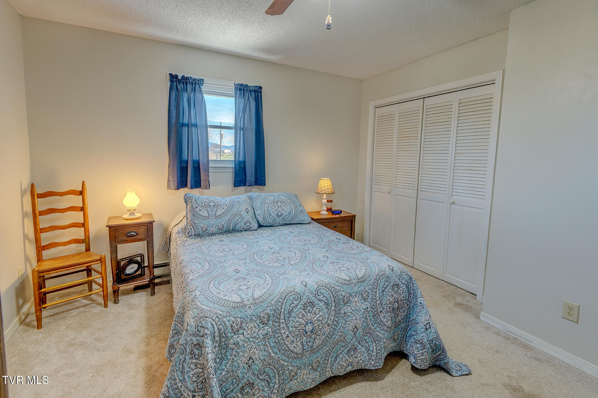 4120 West Allens Bridge Road Greeneville, TN 37743 - Photo 37 of 47 Bedroom 1