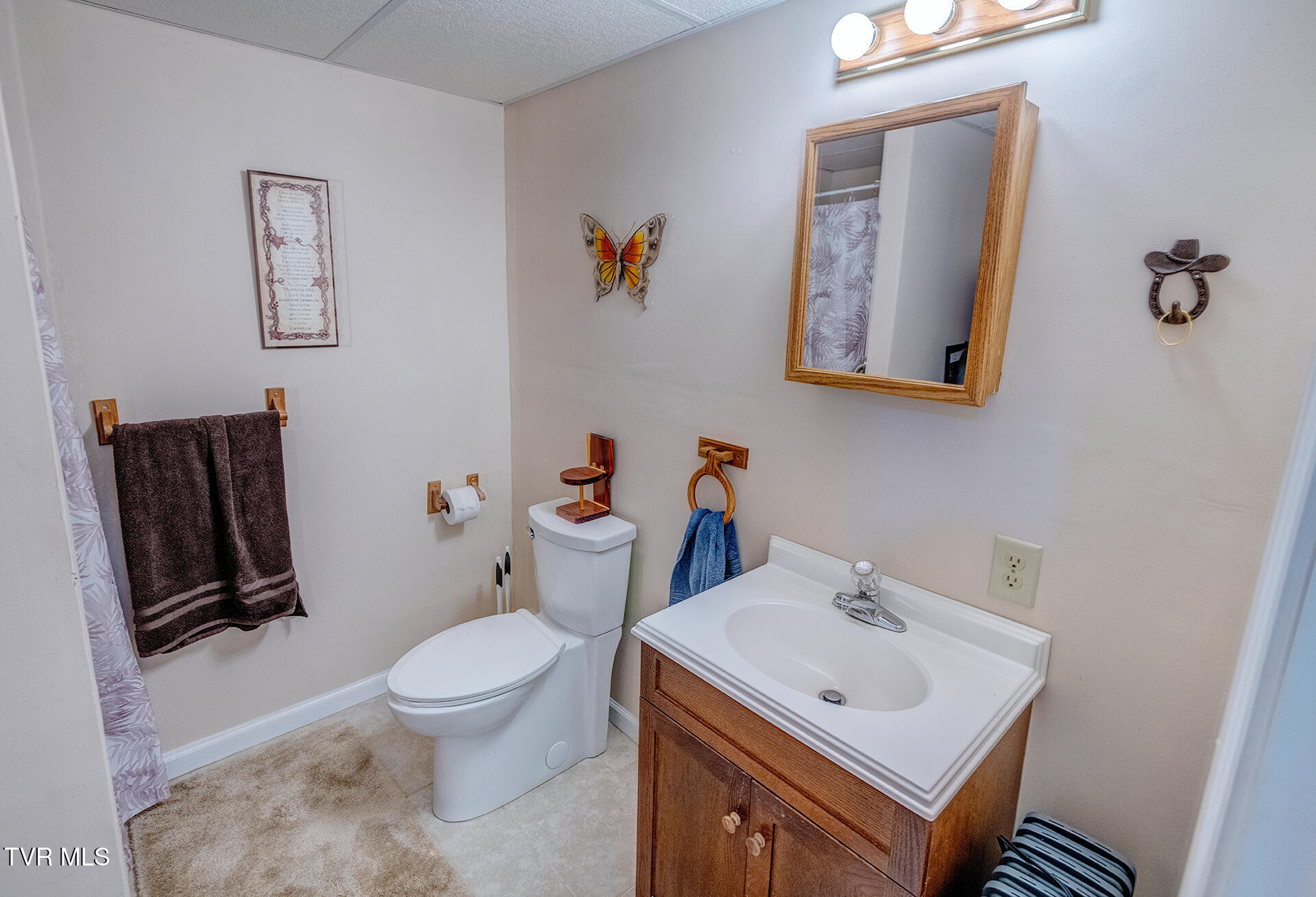4120 West Allens Bridge Road Greeneville, TN 37743 - Photo 46 of 47 Full Bathroom in Basement