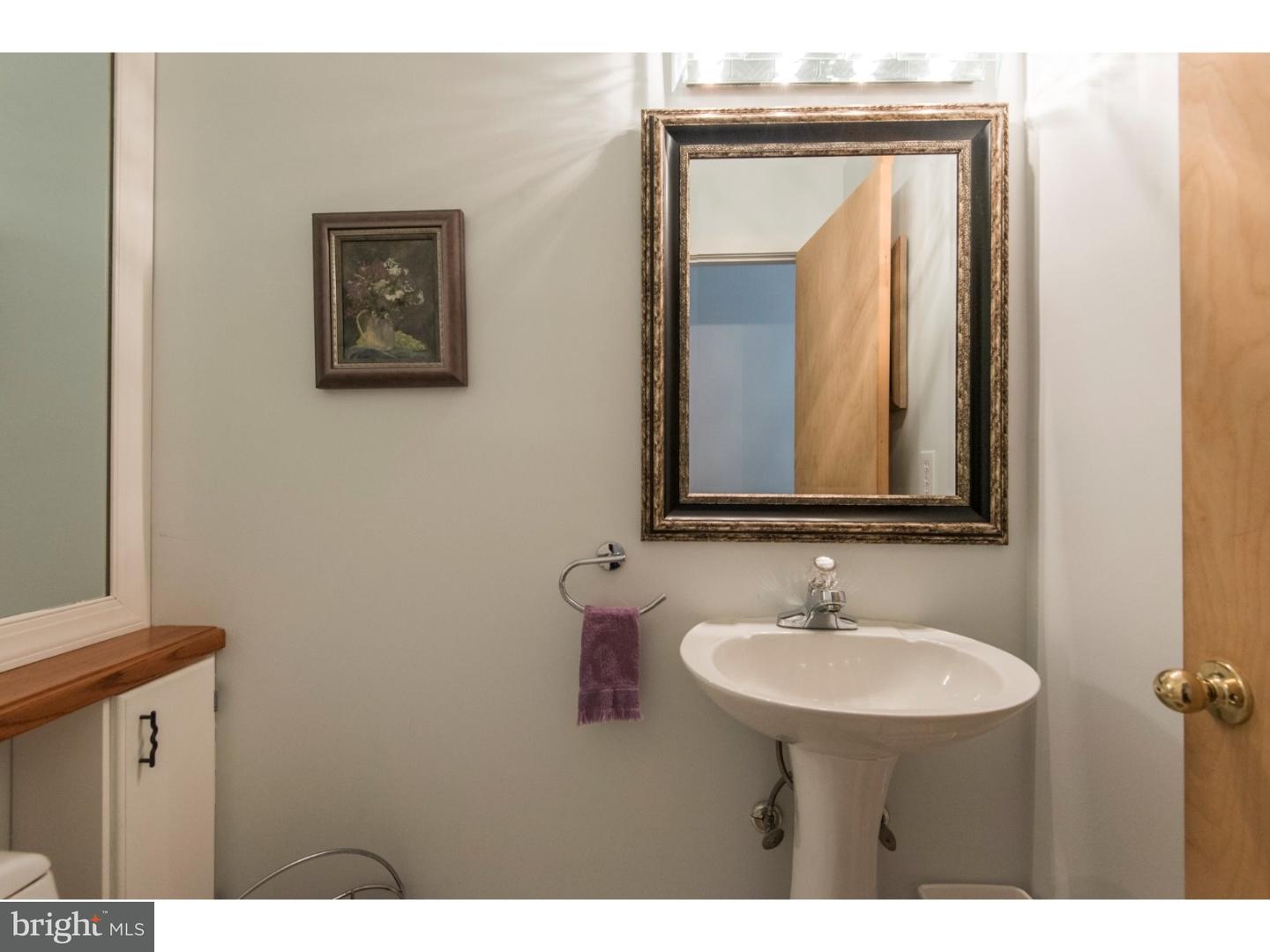 54 Academy Road Bala Cynwyd, PA 19004 - Photo 10 of 24 Bathroom