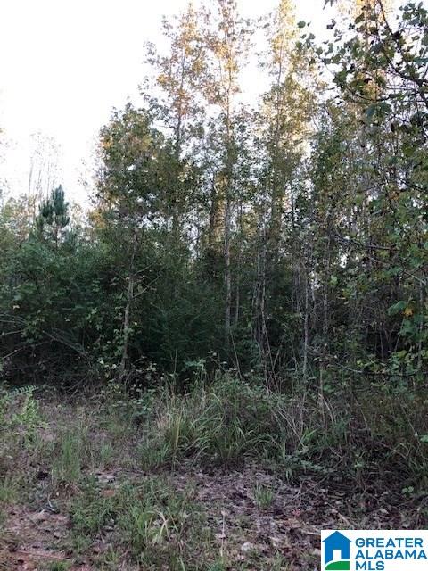 2441 County Road, Unit 5 21 Wedowee, AL 36278 - Photo 2 of 2