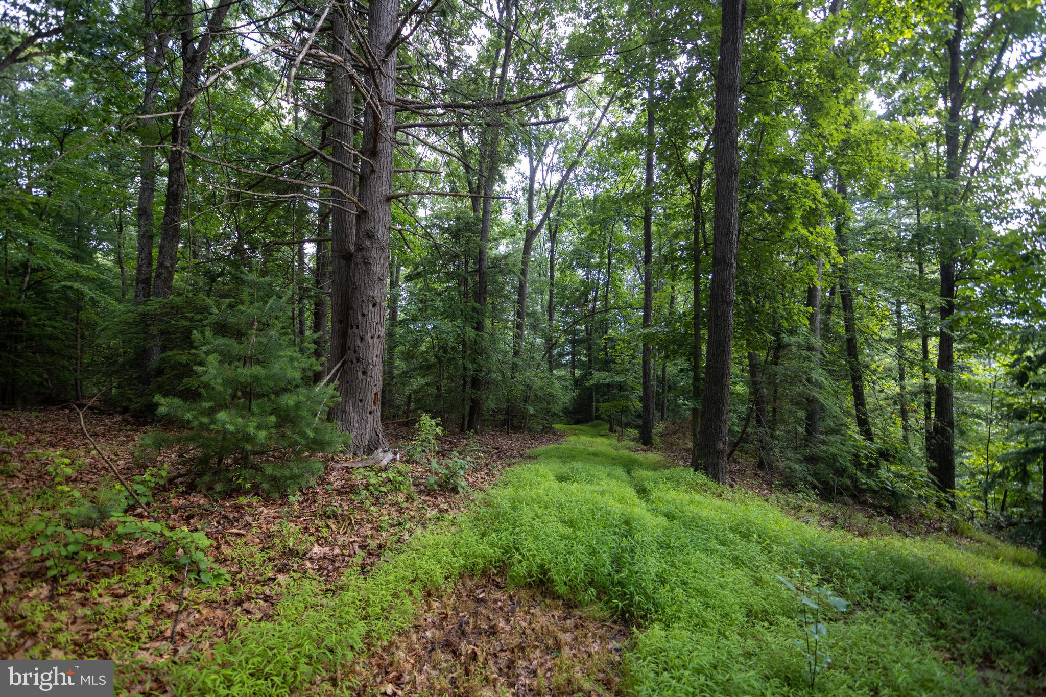 3125 Buckwheat Road Millerstown, PA 17062 - Photo 18 of 38