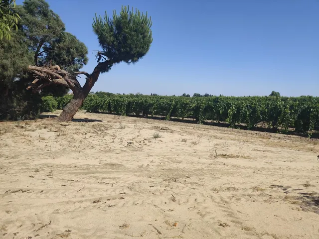 front view of a building