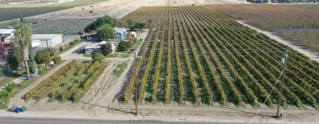 a view of backyard of house