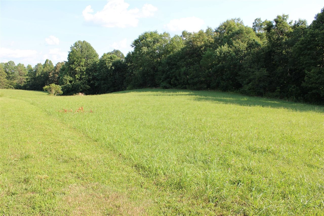 3588 Cherry Spring Road Cub Run, KY 42729 - Photo 9 of 22 Gallery Image 9