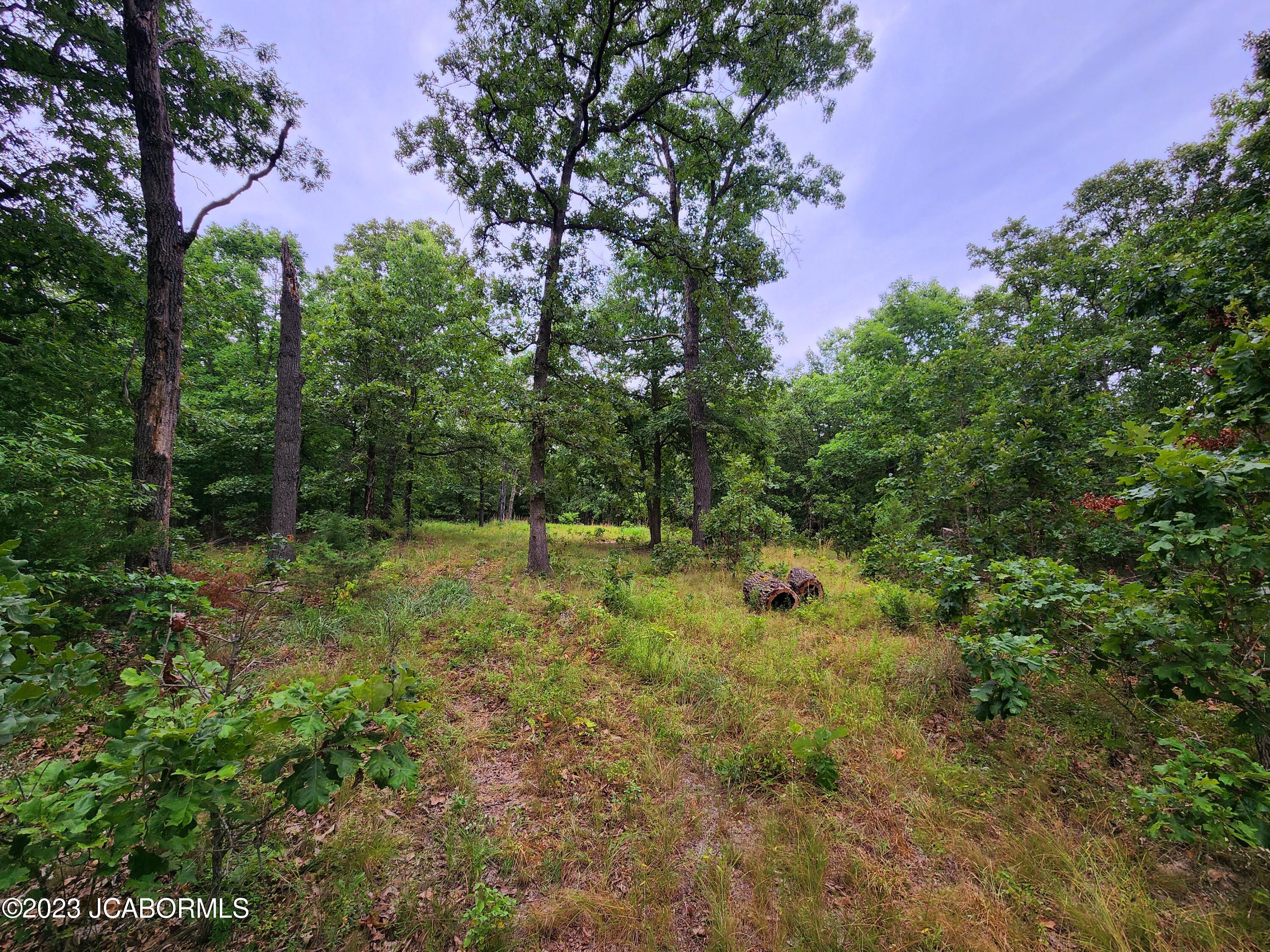 Lot 10 Copperstone Road Camdenton, MO 65020 - Photo 5 of 10