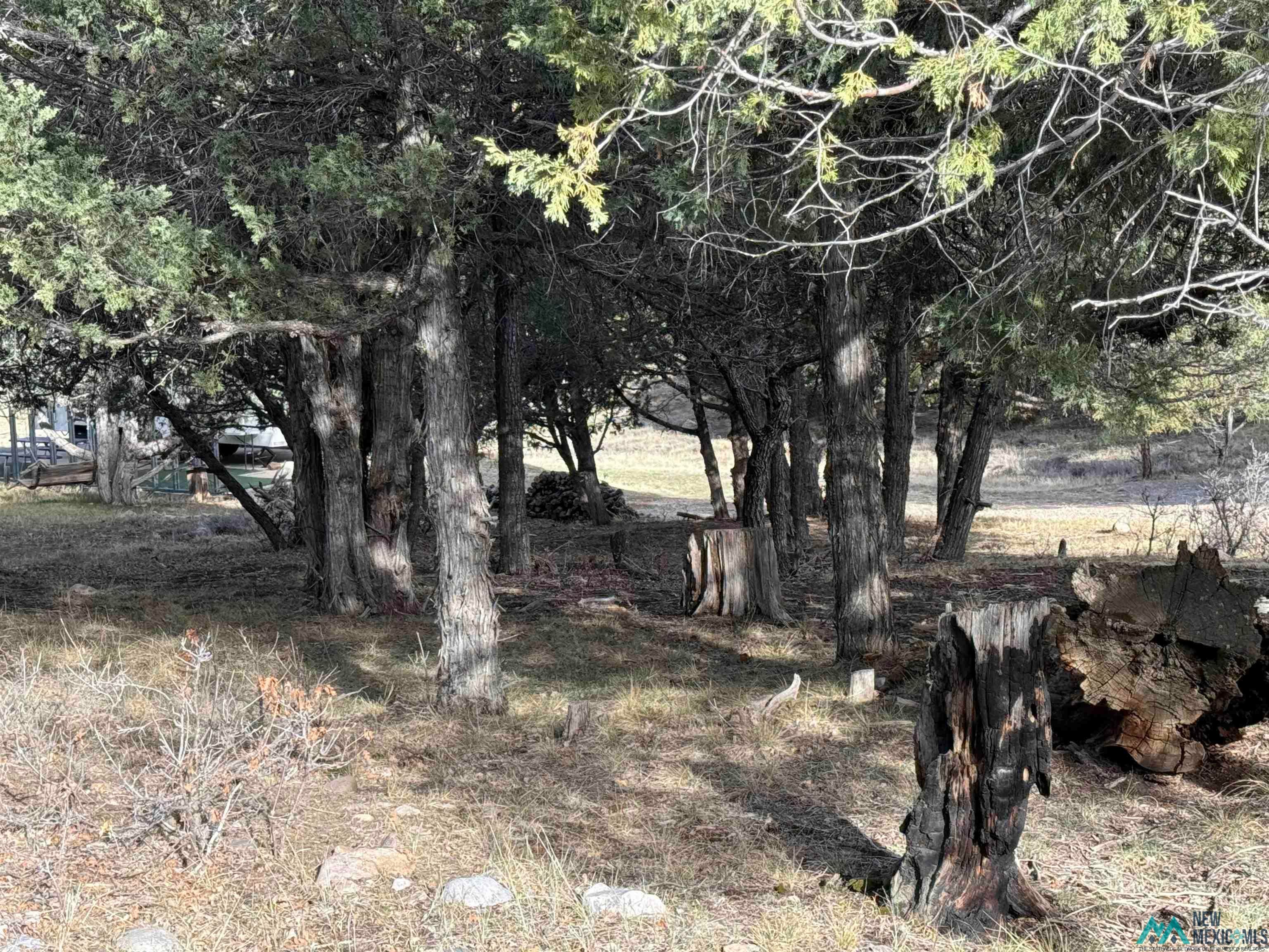 64 Pd 1783c Road Chama, NM 87520 - Photo 18 of 19 View of local wilderness