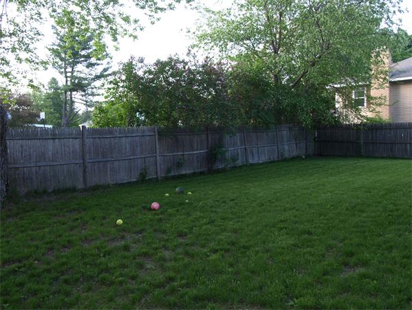 Gallery Image 7