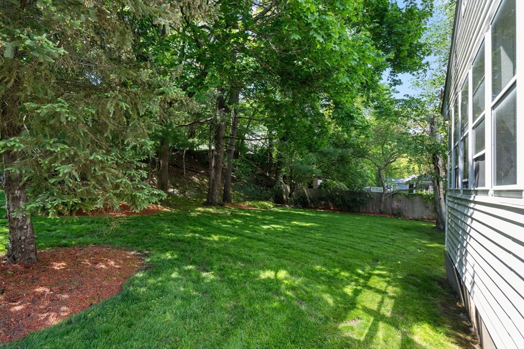61 Sevland Road Newton, MA 02459 - Photo 23 of 27 a view of a back yard
