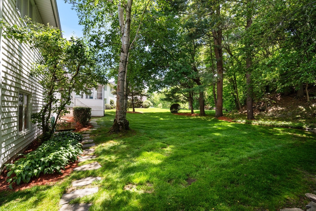 61 Sevland Road Newton, MA 02459 - Photo 24 of 27 a view of backyard with green space