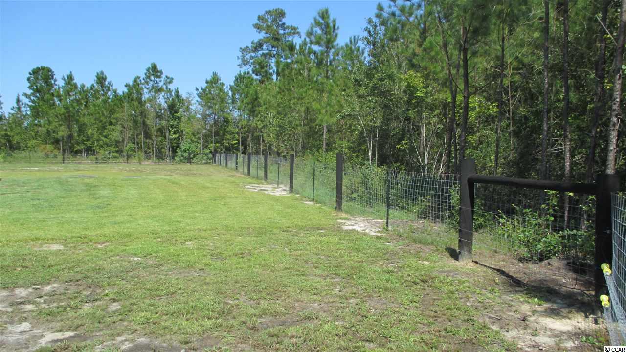 7975 Mill Pond Road Galivants Ferry, SC 29544 - Photo 22 of 23 Gallery Image 22