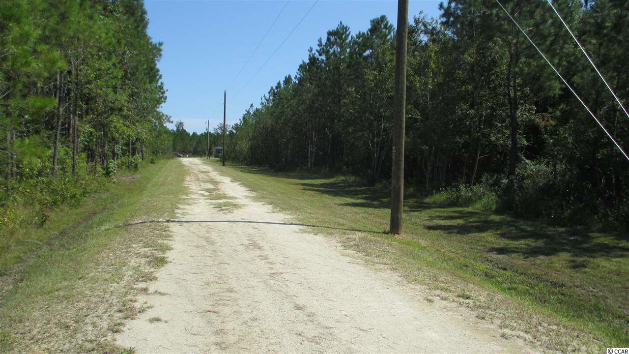 7975 Mill Pond Road Galivants Ferry, SC 29544 - Photo 23 of 23 Gallery Image 23
