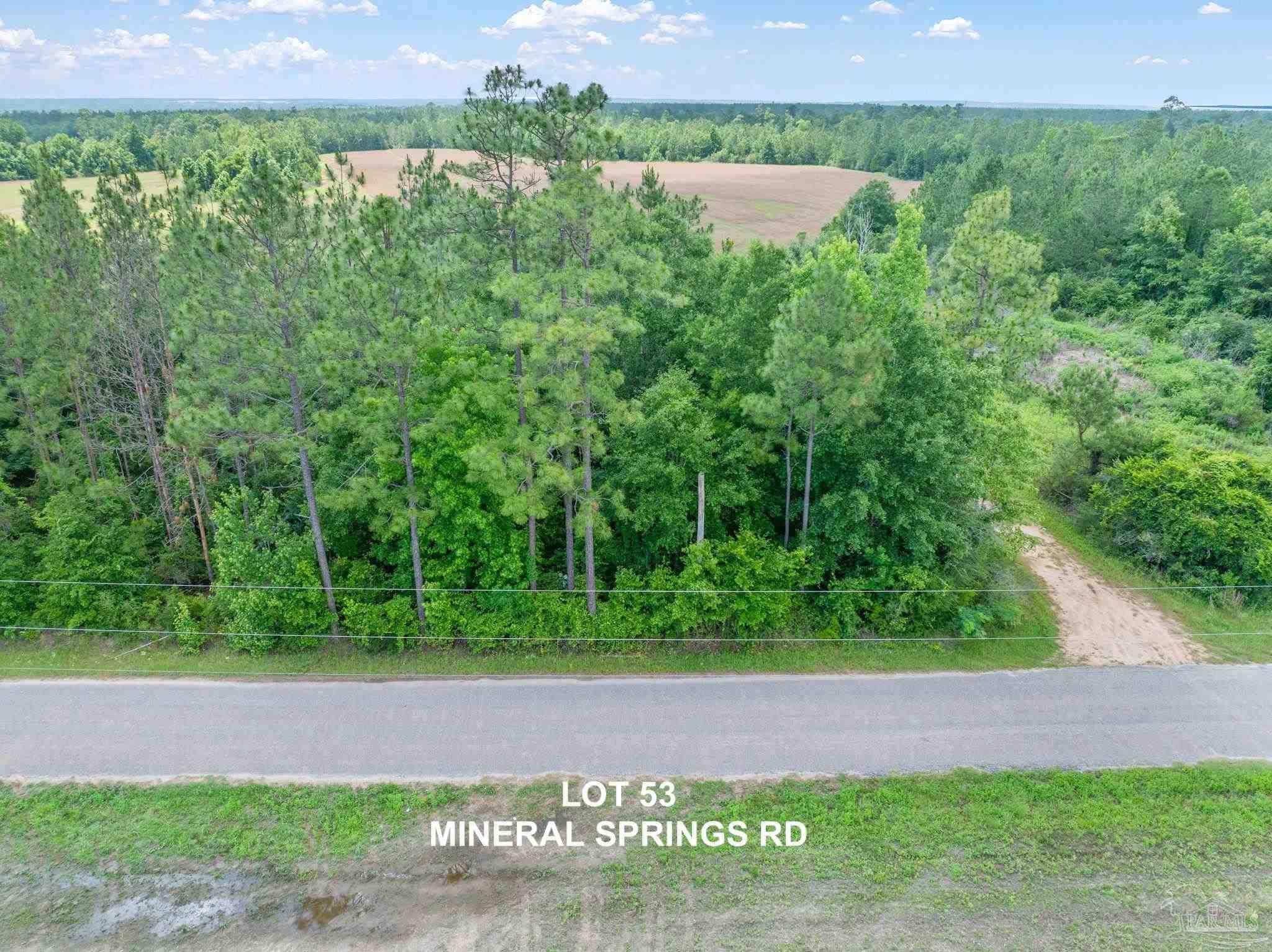 Lot 53 Mineral Springs Road Jay, FL 32565 - Photo 3 of 3