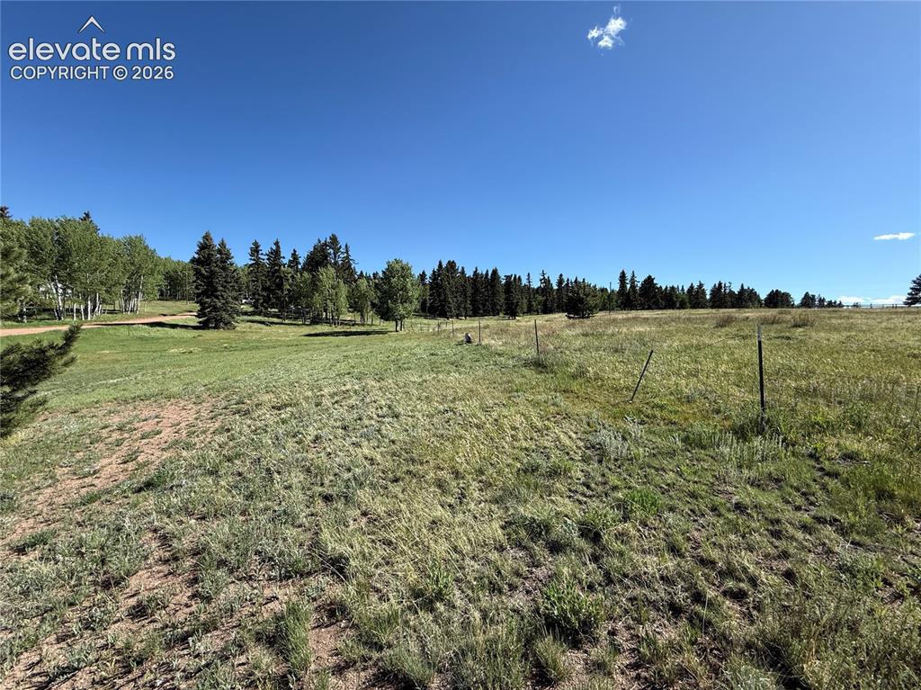 61 Stripling Lane Divide, CO 80814 - Photo 39 of 40 to the side of property