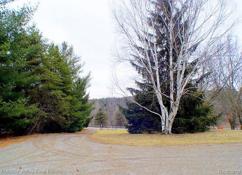 3575 Jewell Road Howell, MI 48843 - Photo 16 of 17 5,000 White Pines on Property.jp