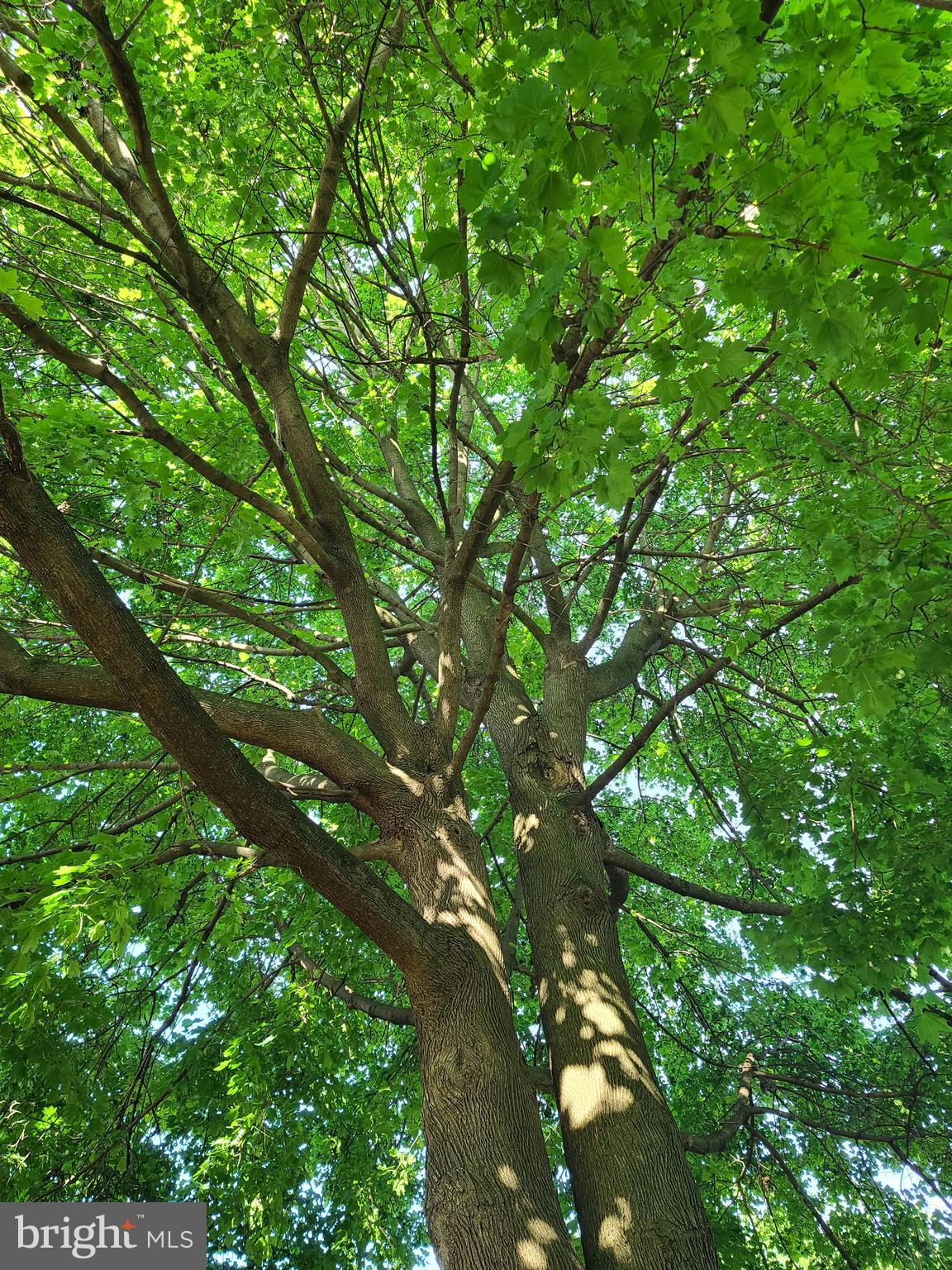 421 Rohrerstown Road Lancaster, PA 17603 - Photo 33 of 40