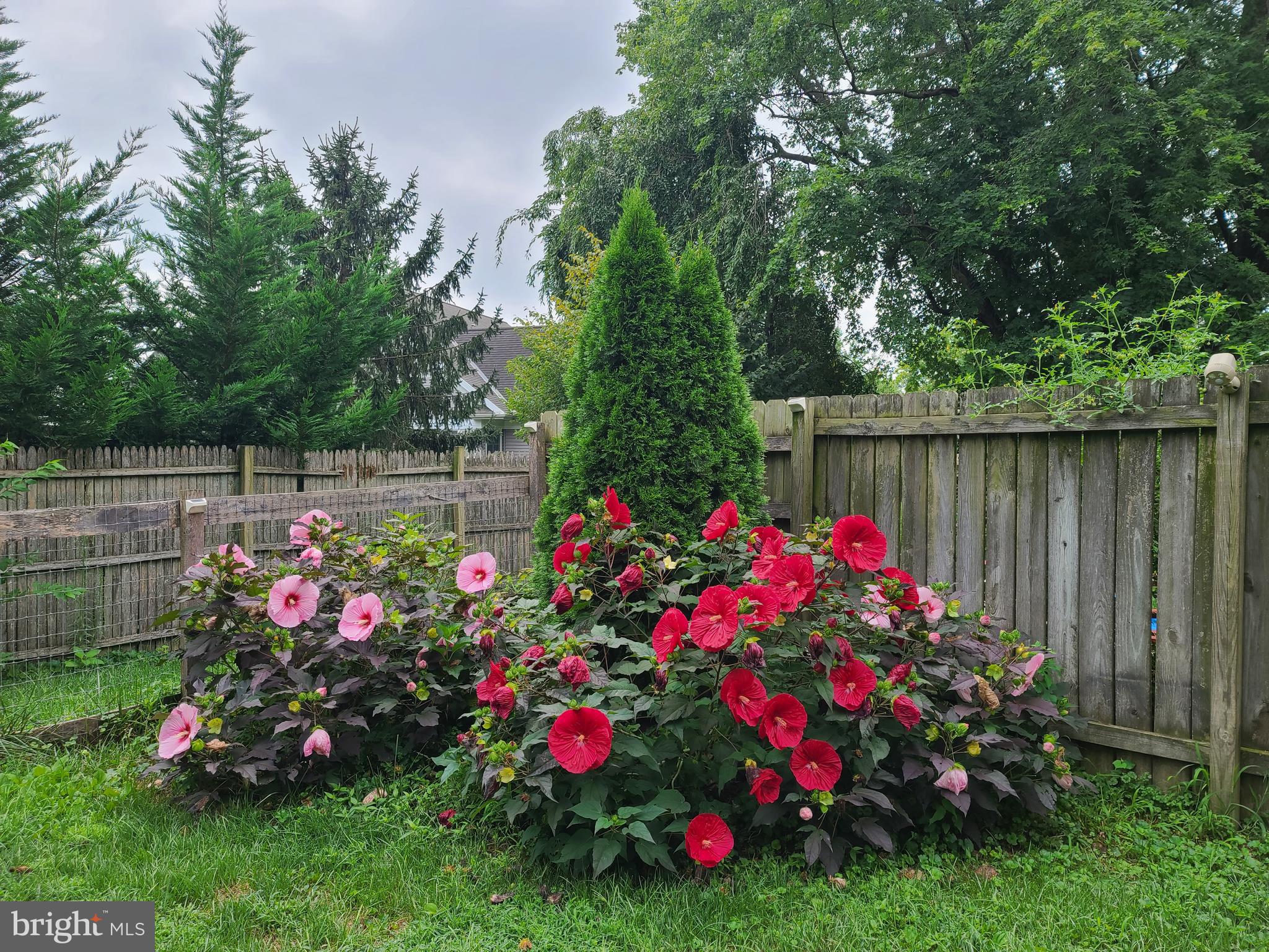 421 Rohrerstown Road Lancaster, PA 17603 - Photo 35 of 40