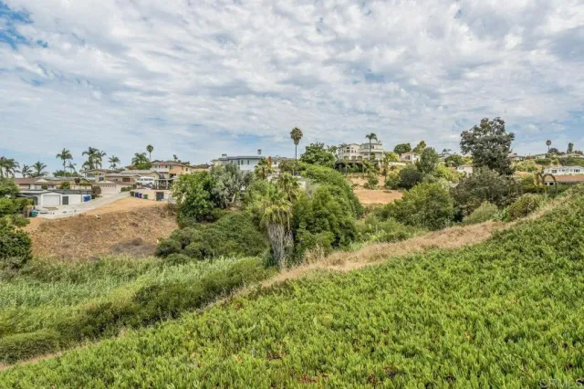 a view of a big yard with lots of green space
