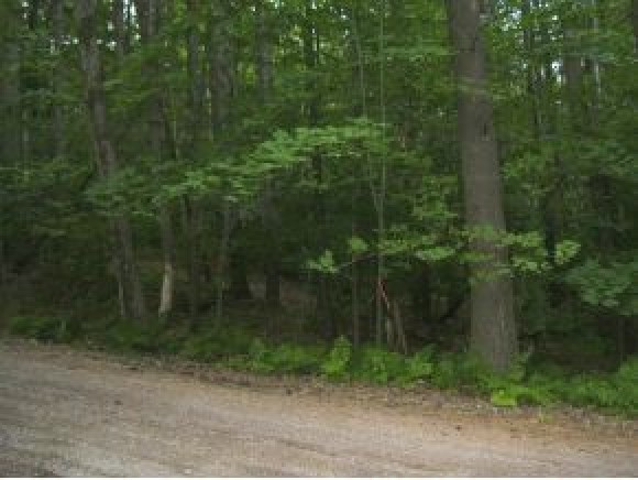 90 Milo White Road Jericho, VT 05465 - Photo 22 of 22