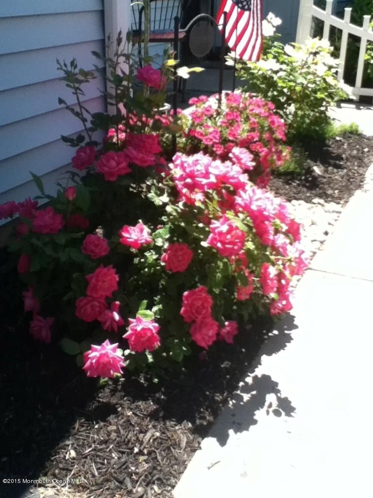 39 Ivy Ridge Close, Unit CLOSE Freehold, NJ 07728 - Photo 4 of 16 Garden2