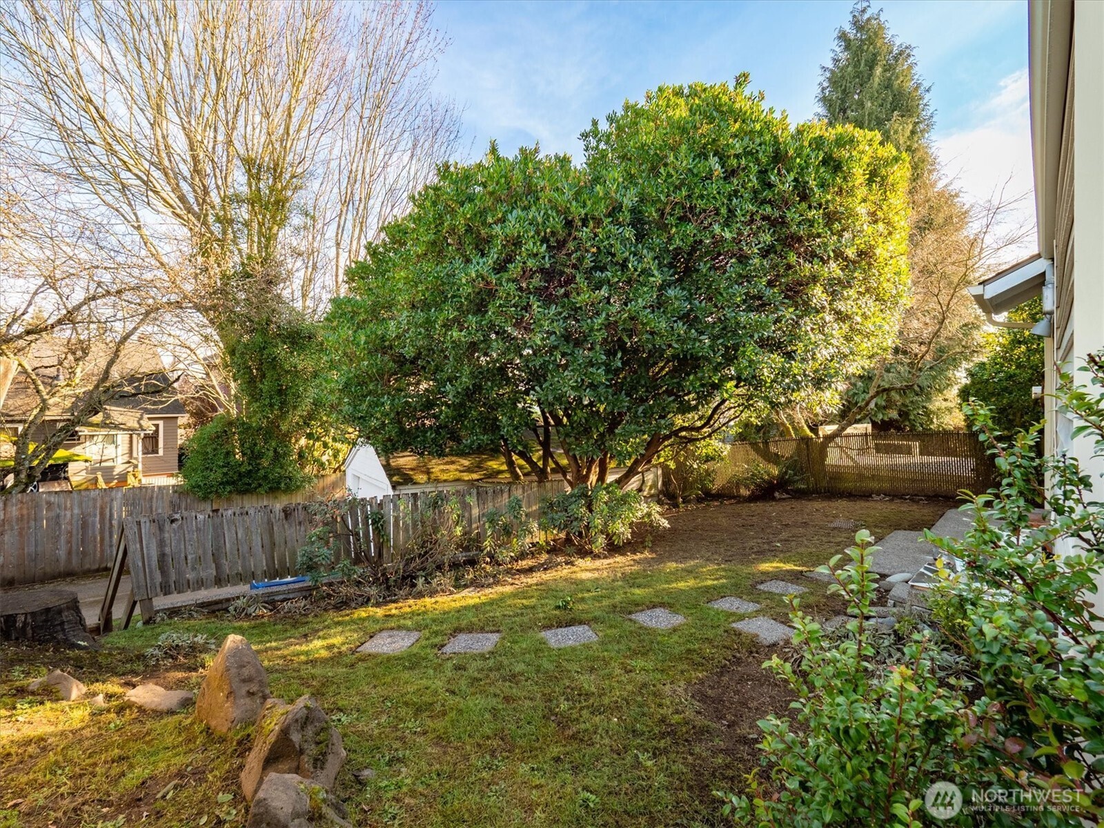 7542 9th Avenue Northwest Seattle, WA 98117 - Photo 22 of 26 a view of backyard with tree