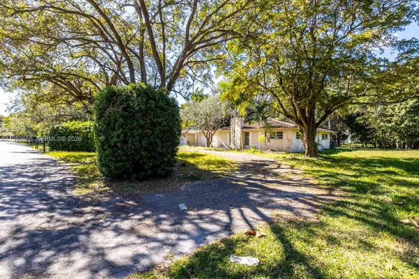 a view of a yard with plants and large trees