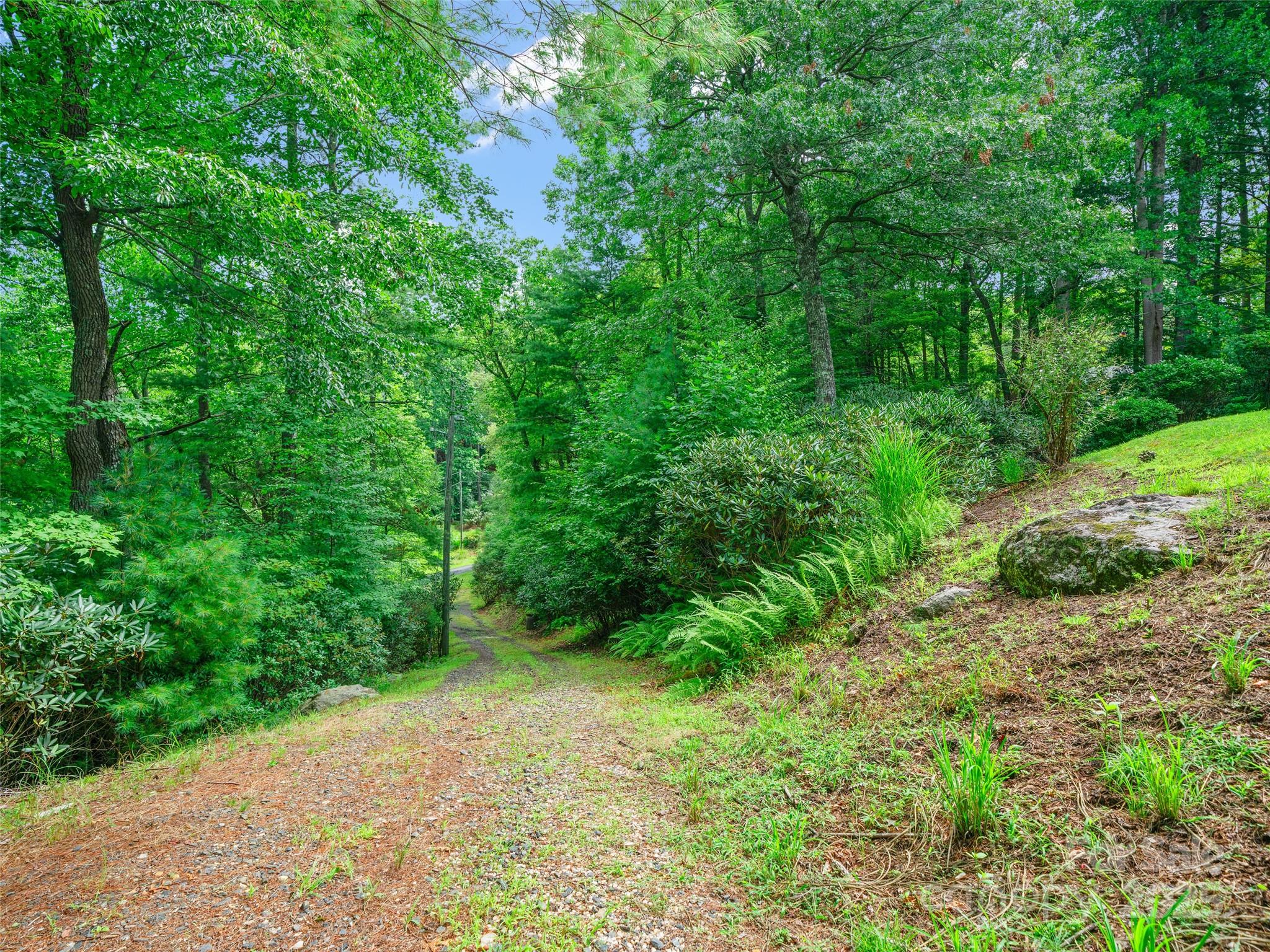 59 Deer Place Road Spruce Pine, NC 28777 - Photo 36 of 40 a view of a yard with plants and a large tree